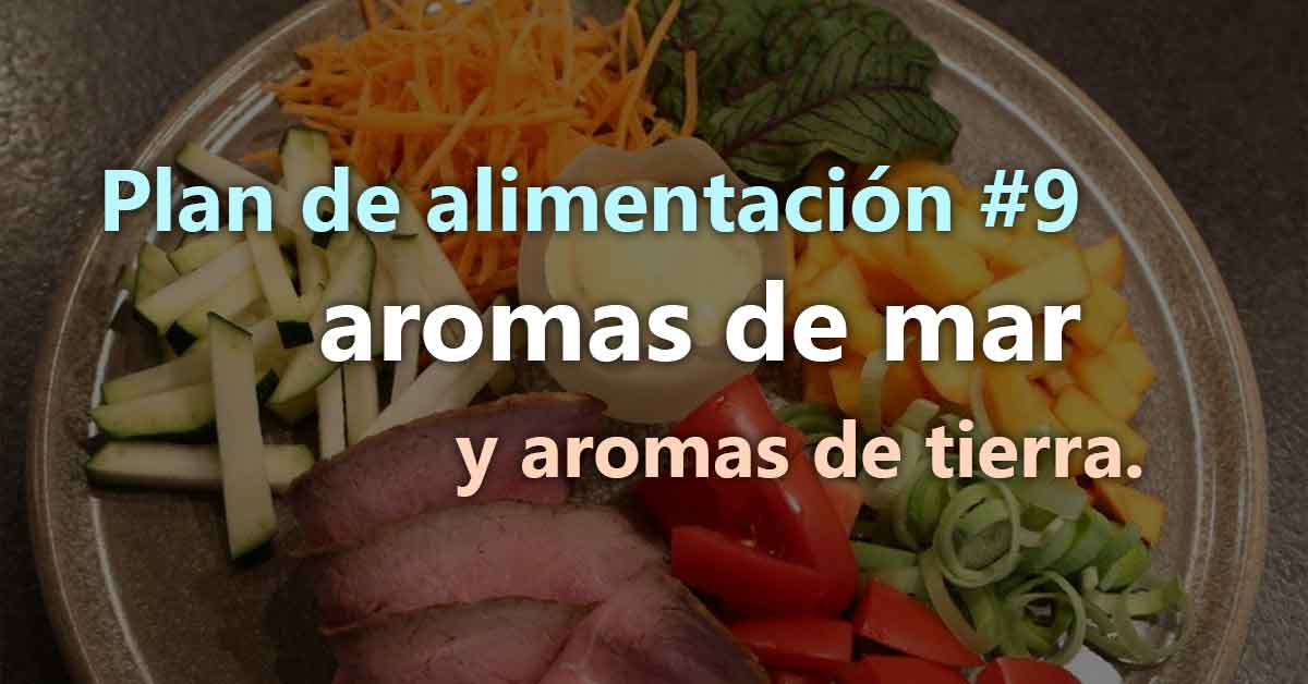 Descargar Menús y Recetas Semana 9